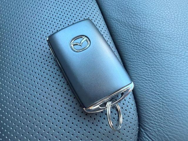 ＣＸ－５ ＸＤＬパッケージ　純正メモリーナビゲーション　ＥＴＣ車載器　ドライブレコーダー　電動シート　ハンドルヒーター　パワーテールゲート　本革シート　パワーバックゲート　１オーナー　オートクルーズ　エアコン　リアカメラ　ターボ（22枚目）