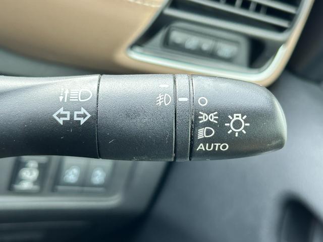 セレナ ハイウイスターＧ　全方位モニターナビ　フリップダウンモニター　衝突被害軽減装置　全方位モニター付きナビ　フリップダウンモニター　両側電動スライドドア　ＬＥＤヘッドライト　オートライト　アダプティブクルーズコントロール　ＥＴＣ　シートヒーター　スマートキー（32枚目）