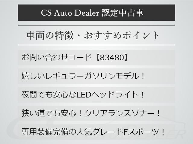 送料無料お手入れ要らず Sona プロフィールご覧ください 様 専用ページ