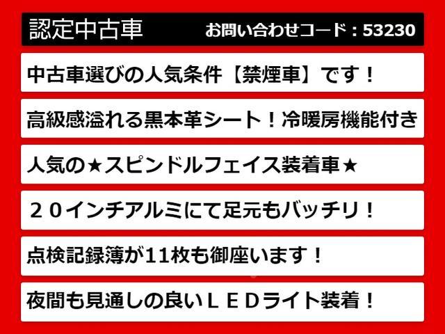 ＧＳ３５０　Ｉパッケージ　（禁煙車）（スピンドルバンパー）（記録簿）（黒本革シート）（社外２０インチＡＷ）（エアシート）（シートヒーター）（ＨＤＤマルチナビ）（クルーズコントロール）（連眼ＬＥＤライト）（ビルトインＥＴＣ）(3枚目)