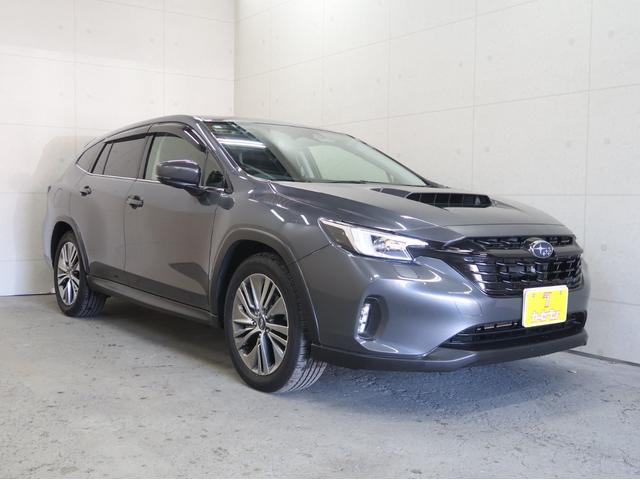 レヴォーグ レイバック リミテッドＥＸ　ワンオーナー　禁煙車　サンルーフ　ハーマンカードンサウンド　アイサイトＸ　ドライバーモニタリング　リアビークル　エマージェンシーレーンキープアシスト　デジタルインナーミラー　ＥＴＣ　パワーバックドア（48枚目）