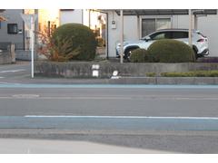 ǣ̣ ǣ̣ãޥåݡġʡر֡졼եƥѥå 0540808A30251120W001 3