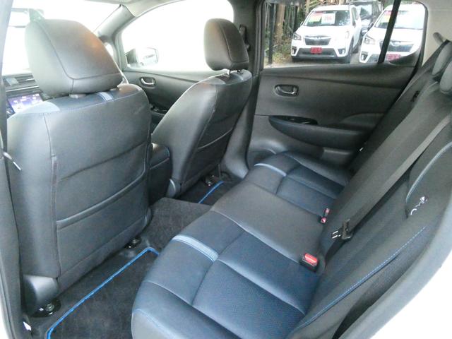 リーフ Ｇ　プロパイロット　ＢＯＳＥサウンド　ＥＴＣ　レーダークルコン　衝突軽減　Ｐアシスト　レーンアシスト　コーナーセンサー　全方位カメラ　Ｂカメラ　ステリモ　デジタルミラー　シートヒーター　純正ＳＤナビ（15枚目）