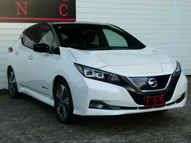 リーフ Ｇ　プロパイロット　ＢＯＳＥサウンド　ＥＴＣ　レーダークルコン　衝突軽減　Ｐアシスト　レーンアシスト　コーナーセンサー　全方位カメラ　Ｂカメラ　ステリモ　デジタルミラー　シートヒーター　純正ＳＤナビ（18枚目）