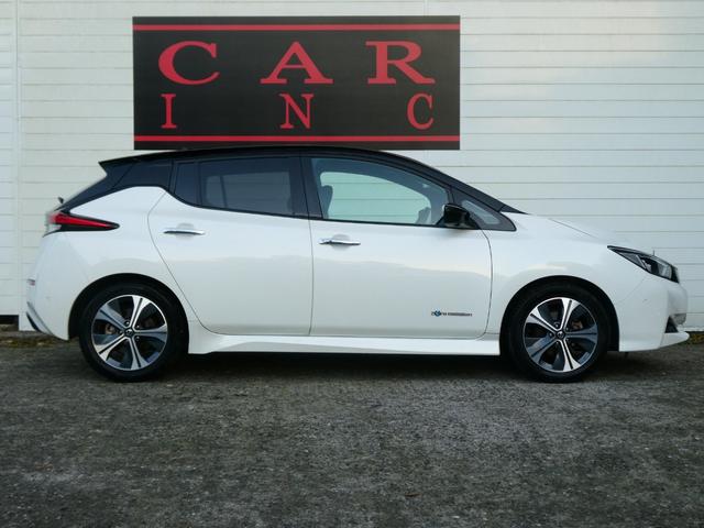 リーフ Ｇ　プロパイロット　ＢＯＳＥサウンド　ＥＴＣ　レーダークルコン　衝突軽減　Ｐアシスト　レーンアシスト　コーナーセンサー　全方位カメラ　Ｂカメラ　ステリモ　デジタルミラー　シートヒーター　純正ＳＤナビ（19枚目）