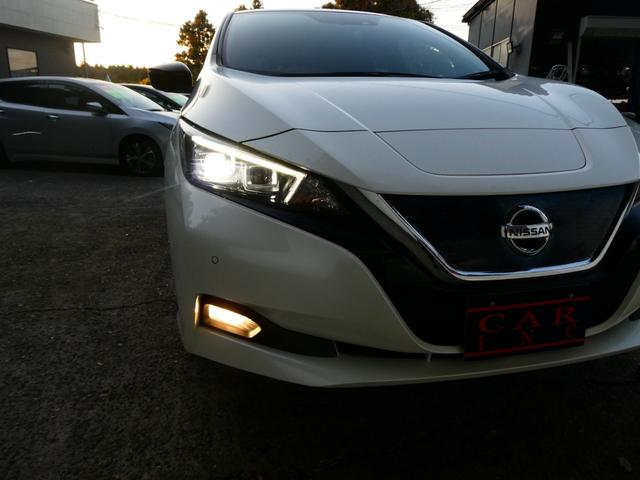 リーフ Ｇ　プロパイロット　ＢＯＳＥサウンド　ＥＴＣ　レーダークルコン　衝突軽減　Ｐアシスト　レーンアシスト　コーナーセンサー　全方位カメラ　Ｂカメラ　ステリモ　デジタルミラー　シートヒーター　純正ＳＤナビ（65枚目）