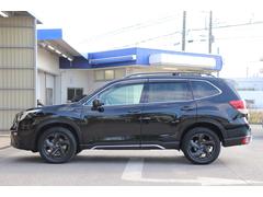 ե쥹 ݡġʥӡѥ䥲ȥ롼ե졼ƣӣ¥顡ţԣáɥ쥳 0540817A30251116W001 3