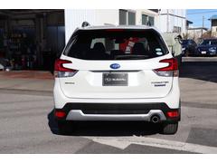 �ե��쥹���� ���ɥХ󥹡������ʥӡ��Х�䥲���ȡ��롼�ե졼�롡�ɥ�쥳 0540817A30251226W002 5