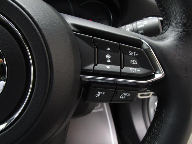 2.2 XD L-PKG 4WD マツコネ 360°モニター(13枚目)