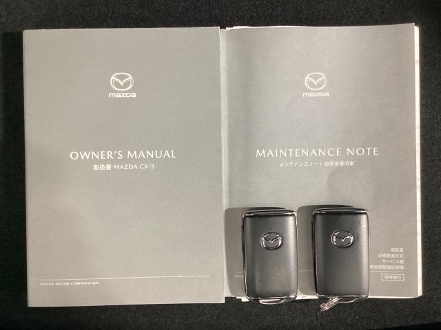 CX-3 1.5 15S ツーリング 地デジ 360°モニター ワンオーナー HBC パーキングセンサー 車線逸脱警報装置 2カメラドラレコ Bluetooth アドバンストキーレス パーキングセンサー ワンオーナー車 LEDランプ PS(29枚目)