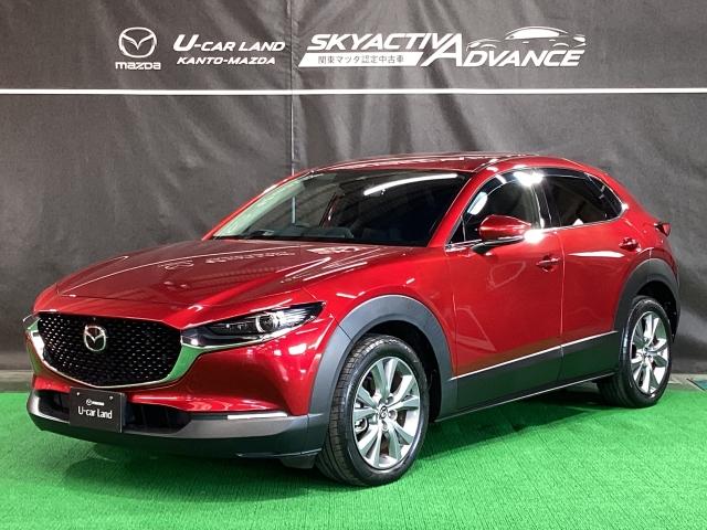 CX-30 1.8 XD プロアクティブ ツーリングセレクション 地デジ 360°モニター ワンオーナー ALH MRCC パーキングセンサー 電動リアゲート レーンキープアシスト 2カメラドラレコ Bluetooth パワーシート シートヒーター ターボ車 AUX(35枚目)