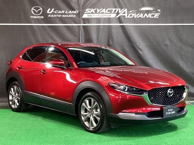 CX-30 1.8 XD プロアクティブ ツーリングセレクション 地デジ 360°モニター ワンオーナー ALH MRCC パーキングセンサー 電動リアゲート レーンキープアシスト 2カメラドラレコ Bluetooth パワーシート シートヒーター ターボ車 AUX(40枚目)