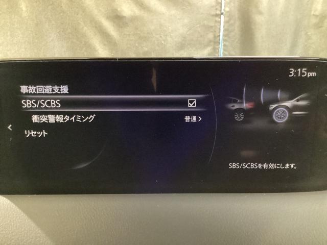 CX-5 2.5 25S ブラックトーンエディション 4WD 地デジ 360°モニター ワンオーナー ALH MRCC パーキングセンサー 電動リアゲート レーンキープアシスト シートヒーター パワーシート Bluetooth 360°ビューモニター 横滑り防止(15枚目)