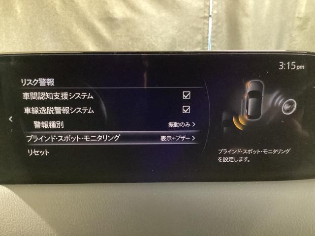 CX-5 2.5 25S ブラックトーンエディション 4WD 地デジ 360°モニター ワンオーナー ALH MRCC パーキングセンサー 電動リアゲート レーンキープアシスト シートヒーター パワーシート Bluetooth 360°ビューモニター 横滑り防止(16枚目)