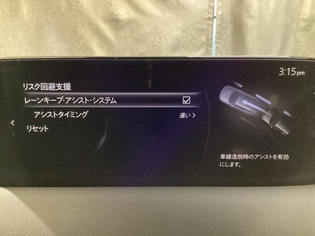 CX-5 2.5 25S ブラックトーンエディション 4WD 地デジ 360°モニター ワンオーナー ALH MRCC パーキングセンサー 電動リアゲート レーンキープアシスト シートヒーター パワーシート Bluetooth 360°ビューモニター 横滑り防止(17枚目)