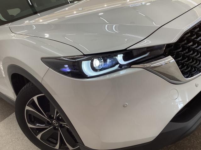 ＣＸ－５ ２．２　ＸＤ　Ｌパッケージ　地デジ　３６０°モニター　ワンオーナー　ＡＬＨ　ＭＲＣＣ　パーキングセンサー　電動リアゲート　レーンキープアシスト　Ｂｌｕｅｔｏｏｔｈ　パワーバックゲート　レーダーＣ　ＬＫＡ　１オーナー　エアコン（28枚目）