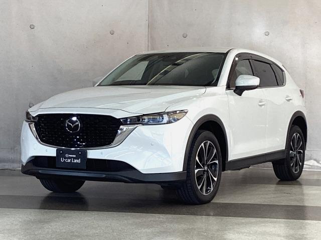 ＣＸ－５ ２．２　ＸＤ　Ｌパッケージ　地デジ　３６０°モニター　ワンオーナー　ＡＬＨ　ＭＲＣＣ　パーキングセンサー　電動リアゲート　レーンキープアシスト　Ｂｌｕｅｔｏｏｔｈ　パワーバックゲート　レーダーＣ　ＬＫＡ　１オーナー　エアコン（35枚目）