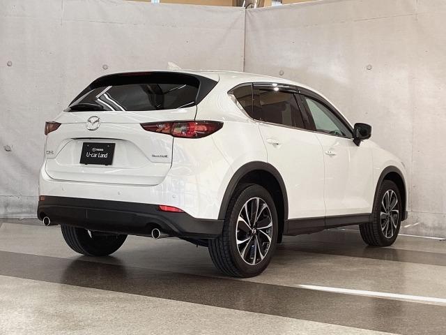 ＣＸ－５ ２．２　ＸＤ　Ｌパッケージ　地デジ　３６０°モニター　ワンオーナー　ＡＬＨ　ＭＲＣＣ　パーキングセンサー　電動リアゲート　レーンキープアシスト　Ｂｌｕｅｔｏｏｔｈ　パワーバックゲート　レーダーＣ　ＬＫＡ　１オーナー　エアコン（38枚目）