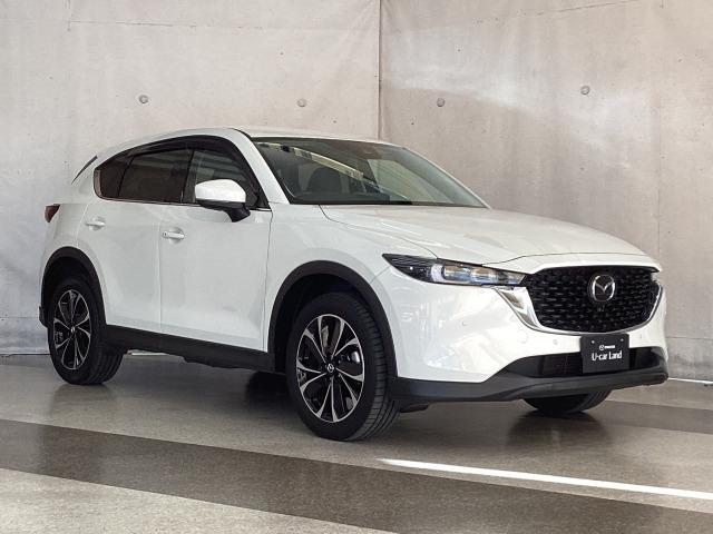 ＣＸ－５ ２．２　ＸＤ　Ｌパッケージ　地デジ　３６０°モニター　ワンオーナー　ＡＬＨ　ＭＲＣＣ　パーキングセンサー　電動リアゲート　レーンキープアシスト　Ｂｌｕｅｔｏｏｔｈ　パワーバックゲート　レーダーＣ　ＬＫＡ　１オーナー　エアコン（40枚目）