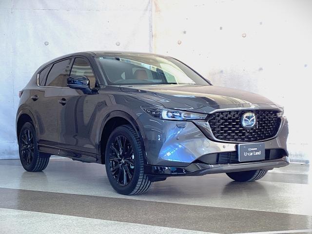 ＣＸ－５ ２．２　ＸＤ　レトロスポーツエディション　４ＷＤ　地デジ　３６０°モニター　試乗車　ＡＬＨ　ＭＲＣＣ　パーキングセンサー　電動リアゲート　パワーシート　シートヒーター　レーンキープアシスト　Ｂｌｕｅｔｏｏｔｈ　エアバック　フルオートエアコン　パワステ（40枚目）