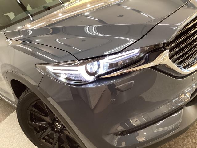 ＣＸ－８ ２．２　ＸＤ　ブラックトーン　エディション　４ＷＤ　地デジ　ＢＯＳＥ　３６０°モニター　ワンオーナー　ＡＬＨ　ＭＲＣＣ　パーキングセンサー　電動リアゲート　レーンキープアシスト　パワーシート　シートヒーター　Ｂｌｕｅｔｏｏｔｈ　３６０ビュー　１オーナー（30枚目）