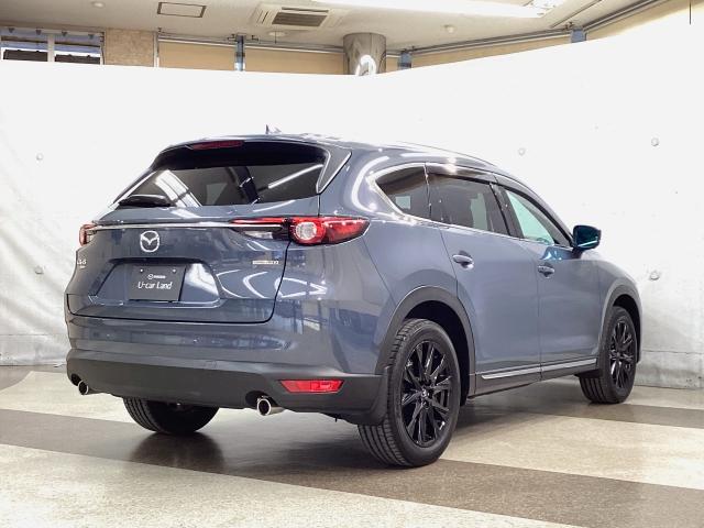 ＣＸ－８ ２．２　ＸＤ　ブラックトーン　エディション　４ＷＤ　地デジ　ＢＯＳＥ　３６０°モニター　ワンオーナー　ＡＬＨ　ＭＲＣＣ　パーキングセンサー　電動リアゲート　レーンキープアシスト　パワーシート　シートヒーター　Ｂｌｕｅｔｏｏｔｈ　３６０ビュー　１オーナー（38枚目）