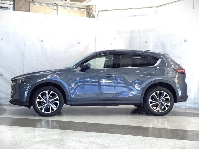 CX-5 2.2 XD Lパッケージ 4WD 地デジ BOSE 360°モニター ワンオーナー ALH MRCC パーキングセンサー 電動リアゲート 本革パワーシート シートヒーター 2カメラドラレコ Bluetooth パワーバックゲート 本革(36枚目)