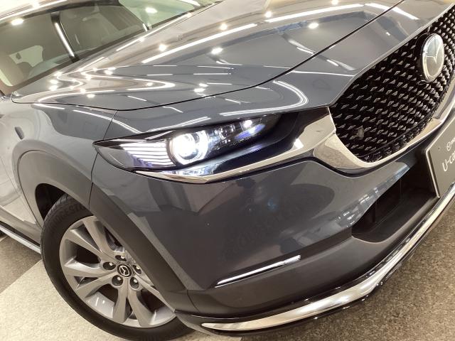 CX-30 1.8 XD プロアクティブ ツーリングセレクション 地デジ BOSE 360°モニター ワンオーナー ALH MRCC パーキングセンサー 電動リアゲート パワーシート シートヒーター レーンキープアシスト 2カメラドラレコ Bluetooth AUX(33枚目)