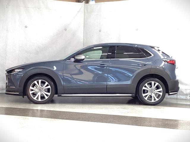 CX-30 1.8 XD プロアクティブ ツーリングセレクション 地デジ BOSE 360°モニター ワンオーナー ALH MRCC パーキングセンサー 電動リアゲート パワーシート シートヒーター レーンキープアシスト 2カメラドラレコ Bluetooth AUX(36枚目)