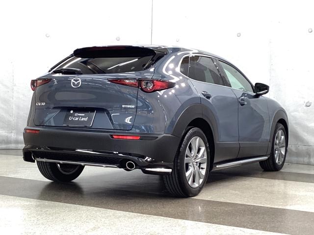 CX-30 1.8 XD プロアクティブ ツーリングセレクション 地デジ BOSE 360°モニター ワンオーナー ALH MRCC パーキングセンサー 電動リアゲート パワーシート シートヒーター レーンキープアシスト 2カメラドラレコ Bluetooth AUX(38枚目)