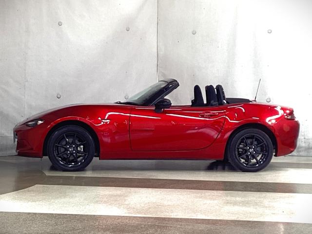 �z�Ƃ����ْ����ƃX�s�[�h���A�͋����A������������\�������I�ő��݊��̂���}�c�_�̍����f�U�C���I�����̂ނقǔ������X�^�C�����O�ł��B