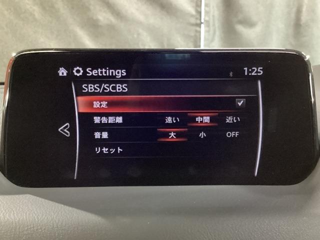 �Ԃ��Q�������łȂ��l�����m���A�u���[�L���������䂵�ďՓˉ�����T�|�[�g���Ă����A�h�o���X�g�E�X�}�[�g�E�V�e�B�E�u���[�L�E�T�|�[�g�𑕔��I