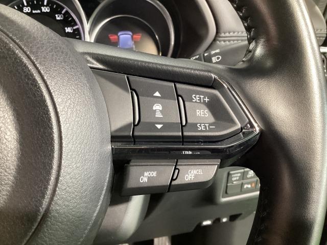 �l�q�b�b�i�}�c�_���[�_�[�N���[�Y�R���g���[���j�͐�s�ԂƂ̎ԊԂ��ێ����Ȃ���Ǐ]���s���s���A�������ł̃h���C�o�[���S���y�������Ă���܂��B