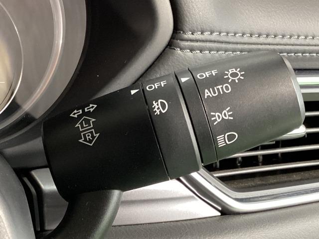 �[��ꎞ��A�������g���l���ȂǁA�w�b�h���C�g�_�E�����̔ς킵������J�����Ă����I�[�g���C�g����������Ă��܂��B