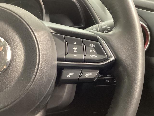 �l�q�b�b�i�}�c�_���[�_�[�N���[�Y�R���g���[���j�͐�s�ԂƂ̎ԊԂ��ێ����Ȃ���Ǐ]���s���s���A�������ł̃h���C�o�[���S���y�������Ă���܂��B