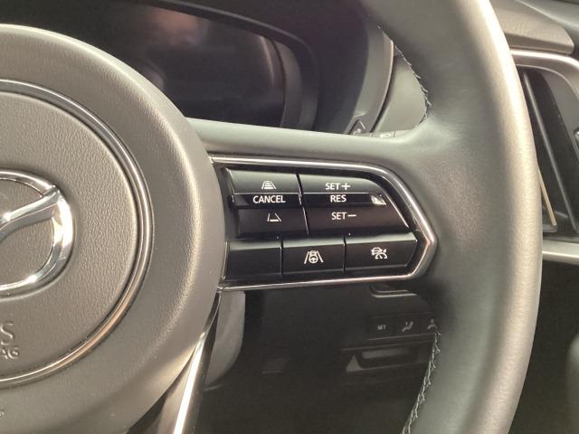 �l�q�b�b�i�}�c�_���[�_�[�N���[�Y�R���g���[���j�͐�s�ԂƂ̎ԊԂ��ێ����Ȃ���Ǐ]���s���s���A�������ł̃h���C�o�[���S���y�������Ă���܂��B