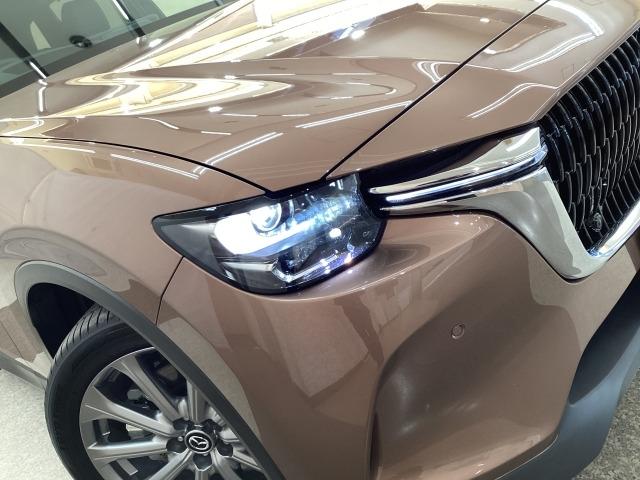 �Ǝ˔͈͂������ŃR���g���[������n�C�r�[���ƁA���L���͈͂��Ǝ˂��郍�[�r�[���̑g�ݍ��킹�Ńh���C�o�[�̊댯�F�m���T�|�[�g���Ă����`�k�g�𑕔��I