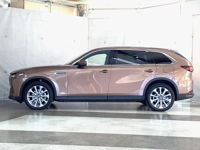 �z�Ƃ����ْ����ƃX�s�[�h���A�͋����A������������\�������I�ő��݊��̂���}�c�_�̍����f�U�C���I�����̂ނقǔ������X�^�C�����O�ł��B