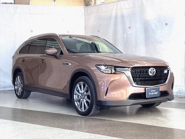 ���k���E����ς̏ꍇ������܂��̂ŁA�����X�̍ۂɂ͎��O�ɂ��⍇���̏�A�Y���Ԏ�̗L�������m�F���������܂��B��ϋ������܂����A�����E�ʐ^�̏�ԂȂǂ����ԂƈႤ�ꍇ�́A���Ԃ�D�悢�����܂��B