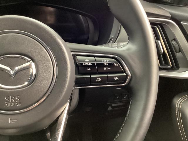 �l�q�b�b�i�}�c�_���[�_�[�N���[�Y�R���g���[���j�͐�s�ԂƂ̎ԊԂ��ێ����Ȃ���Ǐ]���s���s���A�������ł̃h���C�o�[���S���y�������Ă���܂��B