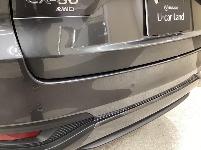 �o���p�[�ɂ͏�Q���ւ̐ڋ߂��A���[�����Œm�点�Ă����p�[�L���O�Z���T�[����������Ă��܂��B