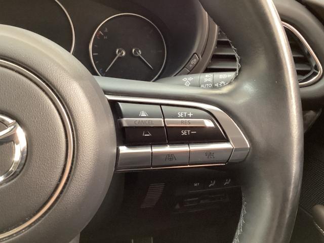 �l�q�b�b�i�}�c�_���[�_�[�N���[�Y�R���g���[���j�͐�s�ԂƂ̎ԊԂ��ێ����Ȃ���Ǐ]���s���s���A�������ł̃h���C�o�[���S���y�������Ă���܂��B