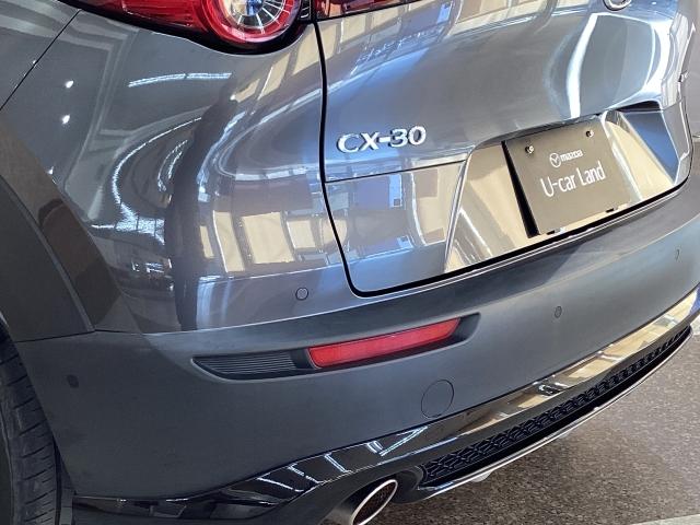 �o���p�[�ɂ͏�Q���ւ̐ڋ߂��A���[�����Œm�点�Ă����p�[�L���O�Z���T�[����������Ă��܂��B