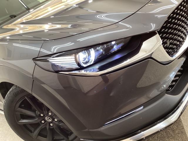 �Ǝ˔͈͂������ŃR���g���[������n�C�r�[���ƁA���L���͈͂��Ǝ˂��郍�[�r�[���̑g�ݍ��킹�Ńh���C�o�[�̊댯�F�m���T�|�[�g���Ă����`�k�g�𑕔��I