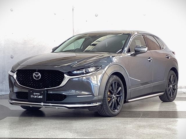 �WࣂƂ������ӎ�������������b�w-�R�O�I�w����������x���Ƃ̊��сA�D��ȂЂƎ������y���݂��������B