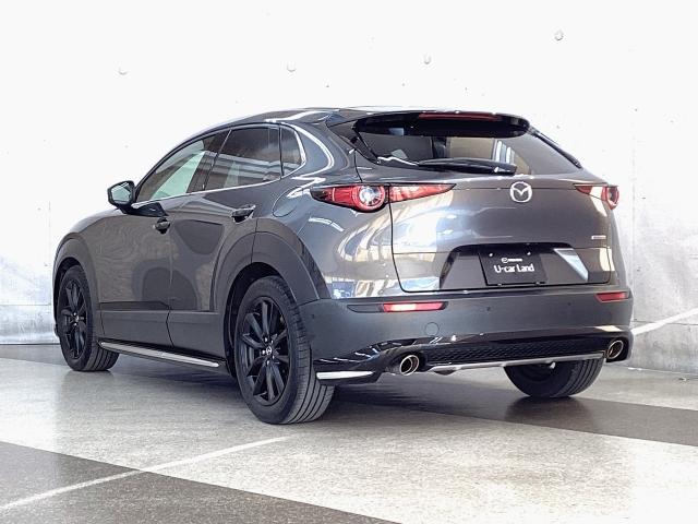 �G���W���A�g�����X�~�b�V�����A�{�f�B�A�V���V�[�̂��ׂĂɃX�J�C�A�N�e�B�u�e�N�m���W�[���̗p�I�㎿�ŋC�����̂�������ƁA�D�ꂽ�R��\�𗼗����Ă��܂��B