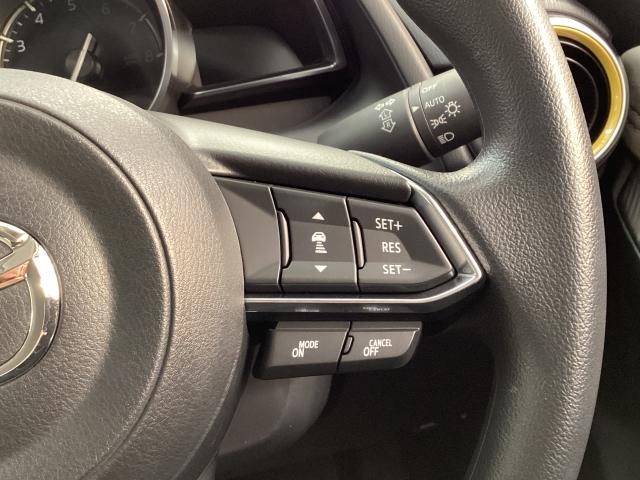 �l�q�b�b�i�}�c�_���[�_�[�N���[�Y�R���g���[���j�͐�s�ԂƂ̎ԊԂ��ێ����Ȃ���Ǐ]���s���s���A�������ł̃h���C�o�[���S���y�������Ă���܂��B