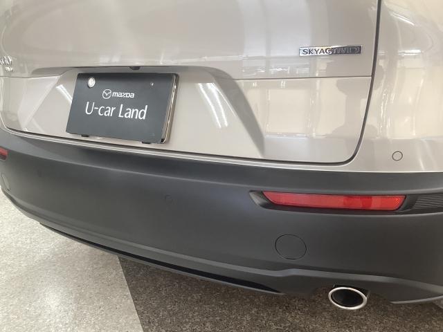 �o���p�[�ɂ͏�Q���ւ̐ڋ߂��A���[�����Œm�点�Ă����p�[�L���O�Z���T�[����������Ă��܂��B