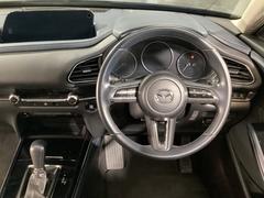 �����ޤǺ����ޤ줿¤�����������ǤⱿž���ơؿ��ϰ��Ρ٤�ڤ��ߤ����ʤ�ޤ������󡢥���ޤ˿���Ƥ��μ�����̣��äƤ��������� 2