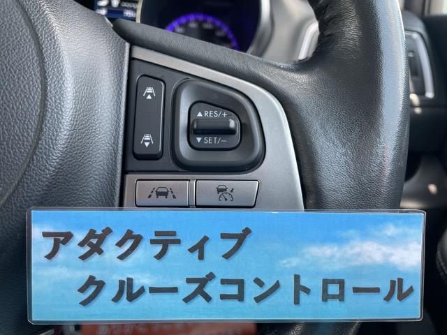 レガシィアウトバック リミテッド　ワンオーナー　パワーテールゲート　本革シート　レーダークルーズ　衝突軽減ブレーキ　スマートキー　タイミングチェーン式　純正ナビ　地デジ　Ｂｌｕｅｔｏｏｔｈ　バックカメラ　ＥＴＣ　シートヒーター　ＡＷ（16枚目）